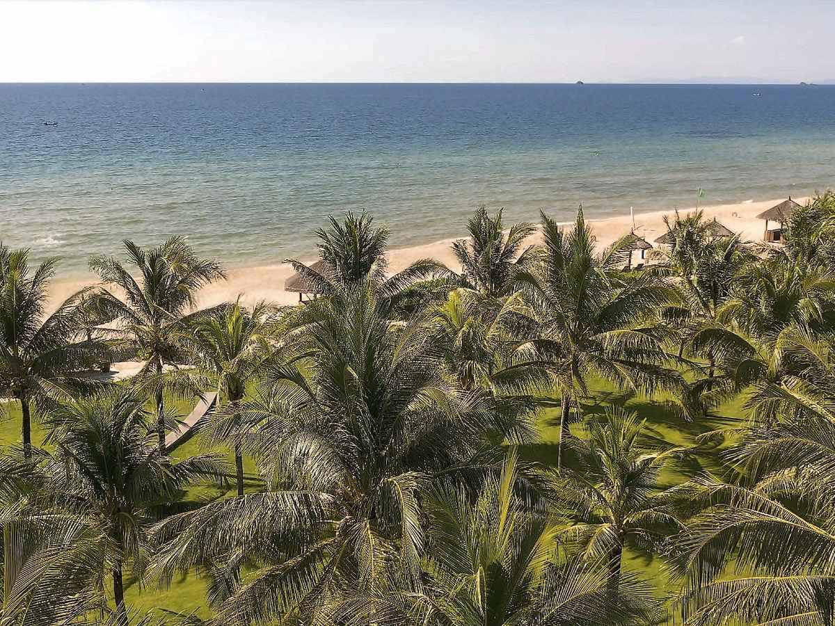 Palm trees above a long sandy beach and a calm sea, seen from a height